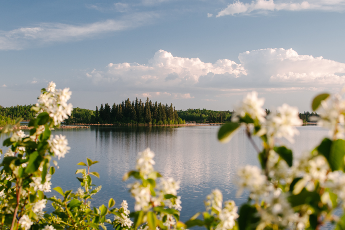 Lake and Flowers