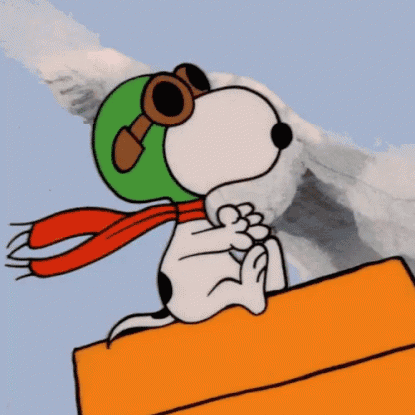 Mike's Flying Snoopy GIF